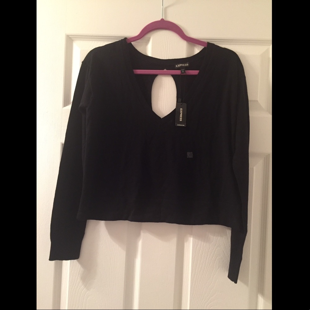 NWT Express v neck cropped long sleeve sweater